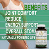 LeaforaVitalize – Naturally Powered Vitality